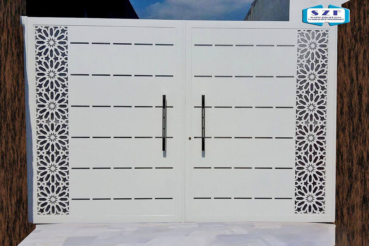 Porte laser